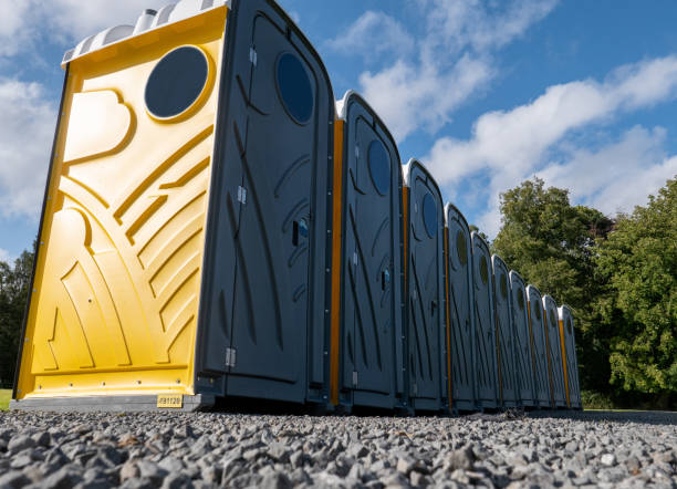 Best Deluxe Portable Toilet Rental  in Glencoe, MN
